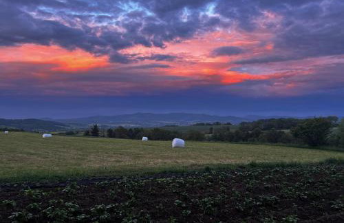 Apartament Pod Orzechem - Foto 80