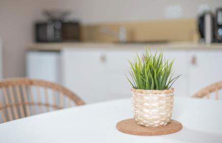 La Maison de la Douce Heure, 4 appartements climatisés avec jardin au centre ville proche des Thermes - Foto 37