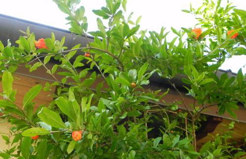 Caterina Residence - Foto 43