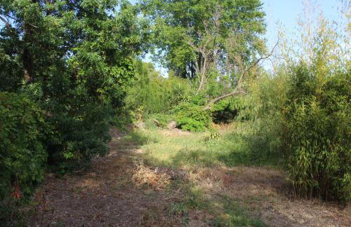 Mas des Oliviers - Foto 17