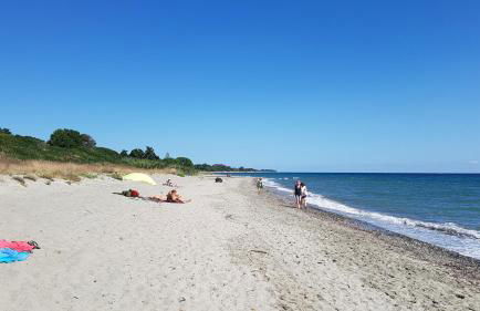 OSARI - MORIANI plage - Foto 9