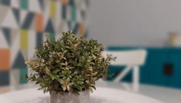 Granada centro - Foto 5