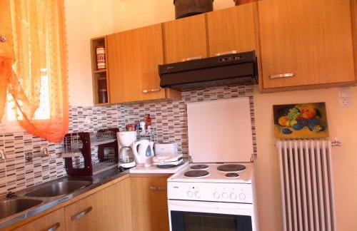 Art Flowers and Culture - Foto 26