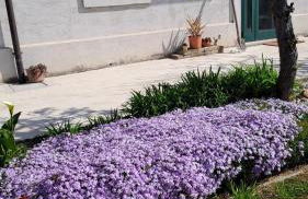 a casa di nonna Tarsilla-entire apartment,5 guests - Foto 53