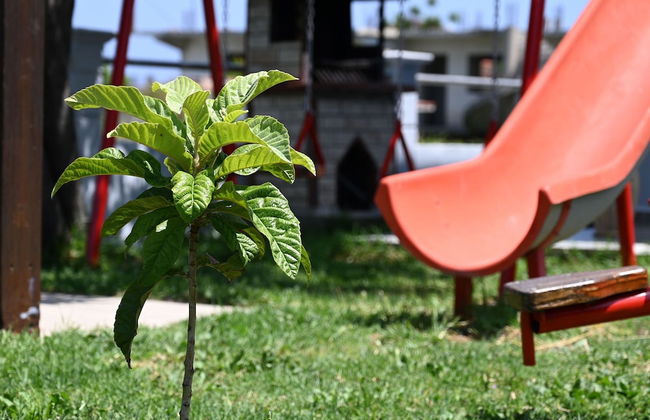 Amaya House in Kremasti Near the Beach Rhodes - Foto 33