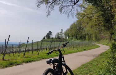 FeWo Sulzbachtal, Nähe Europa-Park, Rulantica, Schwarzwald, Feldberg - Foto 28