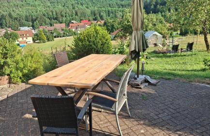 Ferienhof Ziegler- Sonnenschein - Foto 4