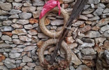 Apartment Pilatus Ošljak - Photo 6