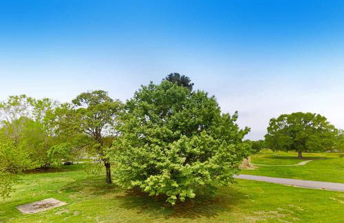 Relaxing Studio Sleeps 4 Near Golf & Douglas Lake - Foto 20