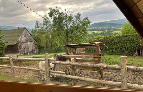 Agroturystyka Zagroda Miłkowskie - Photo 6