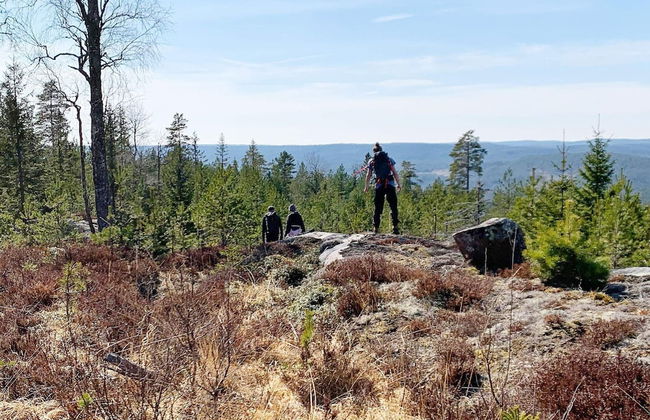 6 Person Holiday Home in Tocksfors-by Traum - Foto 15