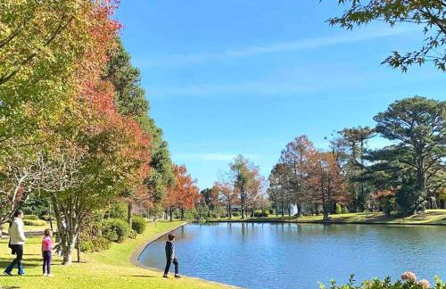 Suíte Completa 3020 no Laje de Pedra Mountain Village Canela e Gramado Serra Gaúcha - Foto 40