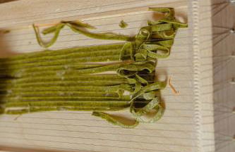 Pociano 1863 - Country House with Stunning view of Siena - Foto 36