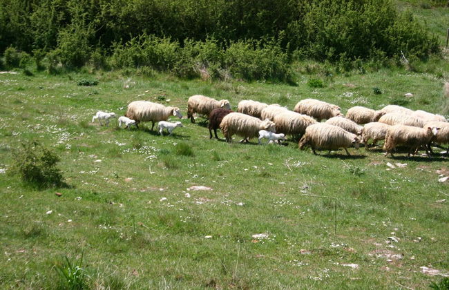 Farmhouse Near Lake Trasimeno With Pool - Foto 29