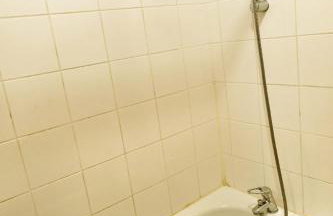 Le Cocoon Jasmin T2 RDC cosy avec jardin clos - Foto 24