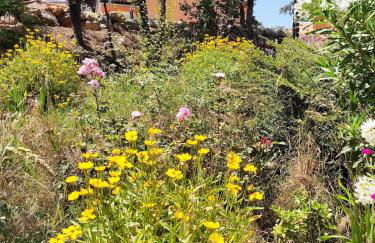Villa les hirondelles avec piscine chauffée - Foto 25