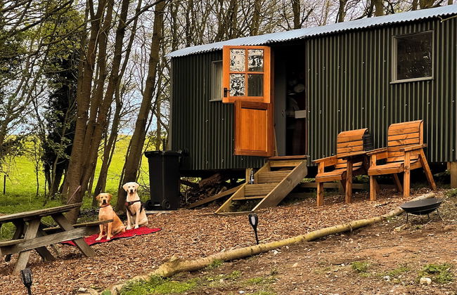 North Norfolk Glamping - Foto 9