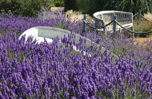 Norfolk Cottage in Seaside village private parking - Foto 25