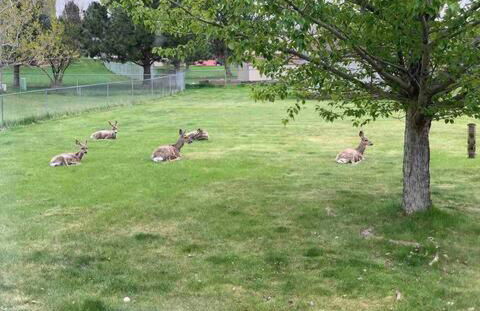 Well appointed residence with 3 bedrooms 4 beds - Foto 45