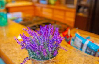 Cute Artsy7 Getaway, large parking, 20mins to OSU - Foto 19