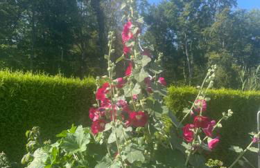 Ferienwohnung Waldeck - Foto 43