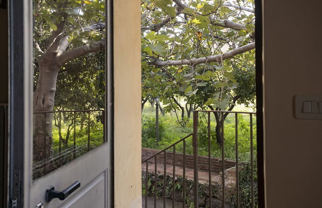 Agriturismo San Leonardello - Foto 77