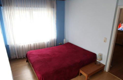 Harz-Hütte am Bohlweg - Foto 26