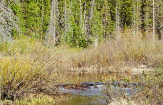 Majestic Suite 5 Bedroom Brighton Chalet - Foto 22