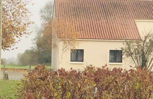 Appartement LOGIS DU CHATEAU DES MARAIS - pour 2 à 3 PERSONNES - Foto 8
