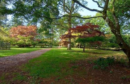 Stunning modern apartment in the Cotswolds sleeps six - Foto 58