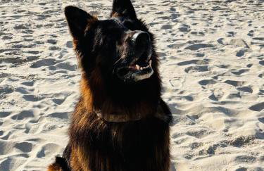 Apartamenty nad morzem Przy Klifie 2 Dębina - Foto 63