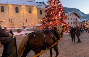CHALET MONT BLANC - Foto 21