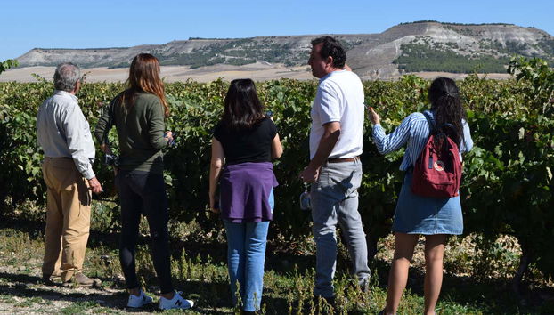 Tour in Valoria la Buena - Photo 4