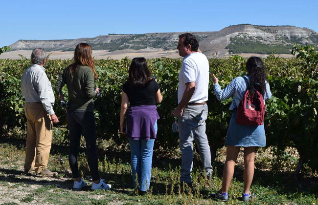 Tour in Valoria la Buena - Photo 4