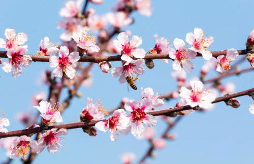 Alba Morus - Photo 46