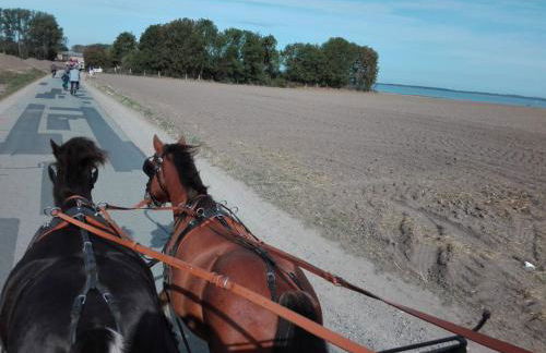 Apartment Wohnung in Dreveskirchen mit Kleinem Garten by Interhome - Foto 21
