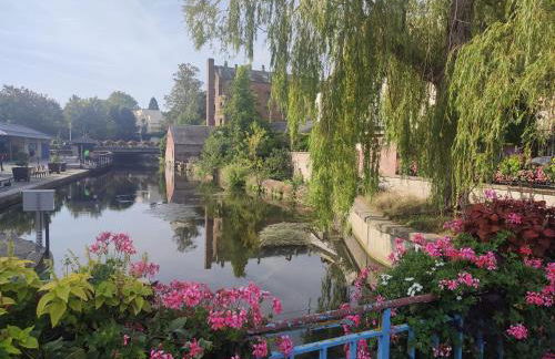 Green cosy - Foto 18