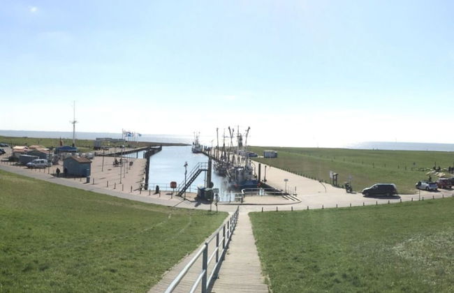 Ambiance Modern Retreat - Photo 10