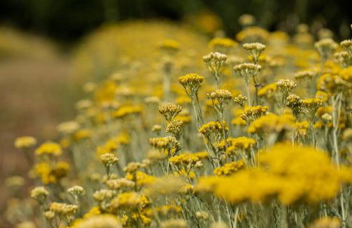 Agriturismo Alchimista - Foto 42