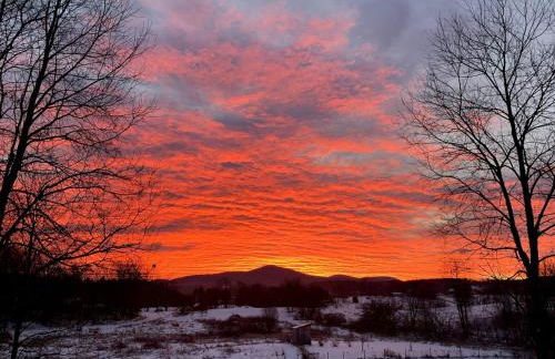The Disco Den on Toad Road - Photo 11