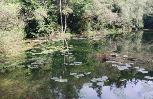 Ferienwohnung Susanna - Foto 23