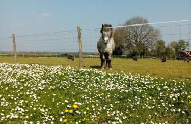Les Gîtes de La Roche Élie Chez Léonie - Foto 17