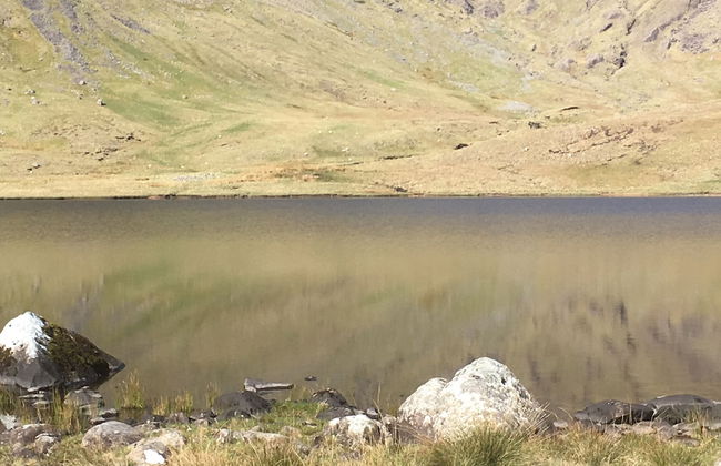 Carraigin Ban - Foto 33