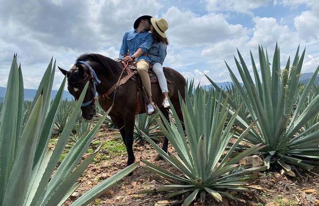 Passeggiata a cavallo a Oaxaca - Foto 2