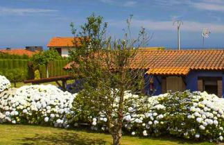 Complejo rural Alhelí - Apartamentos y habitaciones - Foto 72