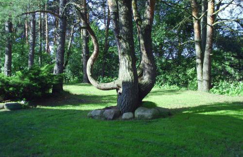 Dom nad jeziorem Omulew - Foto 18