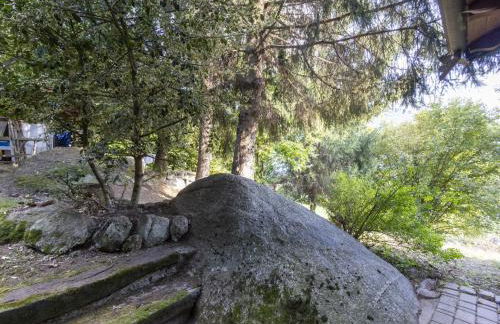 Apartment Casa Orai Mountain View by Interhome - Photo 37