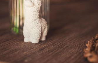 Ferienwohnung Sternenzelt Alpakas - Natur & Tiere hautnah erleben - Foto 12