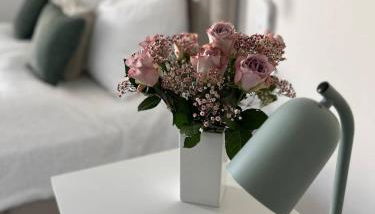 Wanderlust Petrisberg - Studio 54 - Foto 2