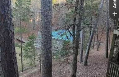 Bear Den on Lake Ouachita 2BR Condo at Mountain Harbor Resort - Foto 21